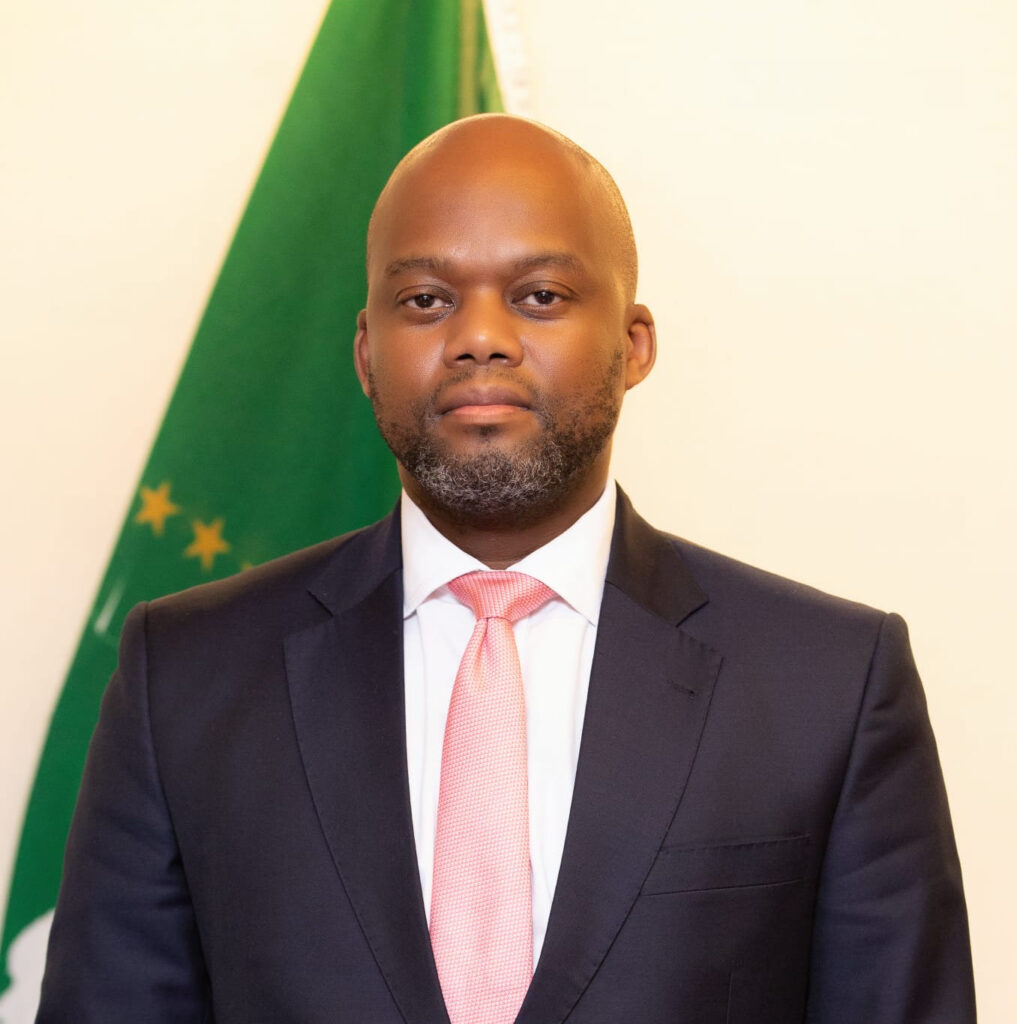 H.E. Wamkele Mene