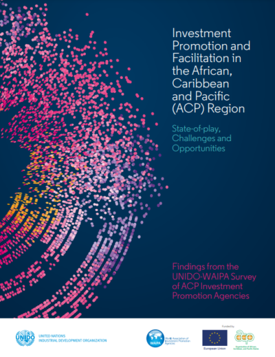 UNIDO-WAIPA_Report-pdf